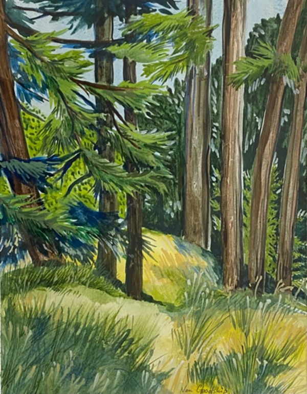 A watercolour painting depicting trees and coastal scenes from Vancouver Island