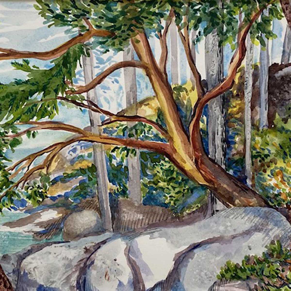 A watercolour painting depicting trees and coastal scenes from Vancouver Island