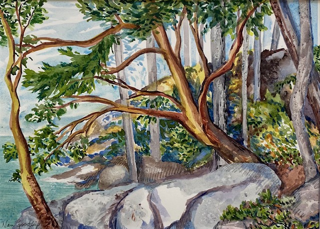 A watercolour painting depicting trees and coastal scenes from Vancouver Island