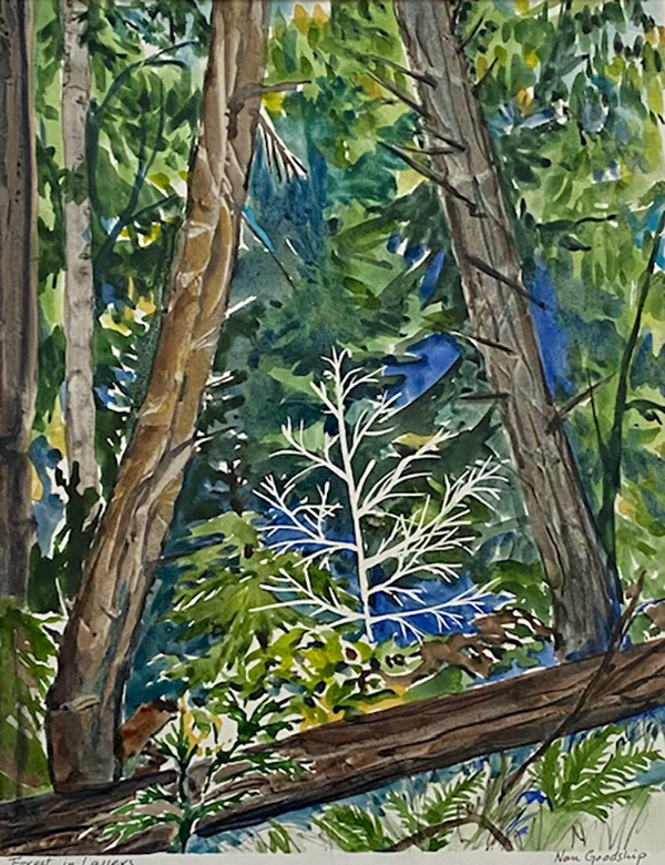 A watercolour painting depicting trees and coastal scenes from Vancouver Island