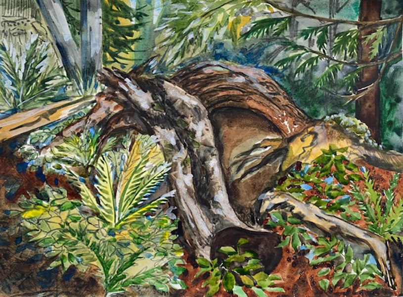 A watercolour painting depicting trees and coastal scenes from Vancouver Island