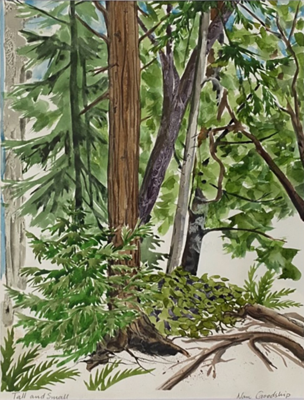 A watercolour painting depicting trees and coastal scenes from Vancouver Island