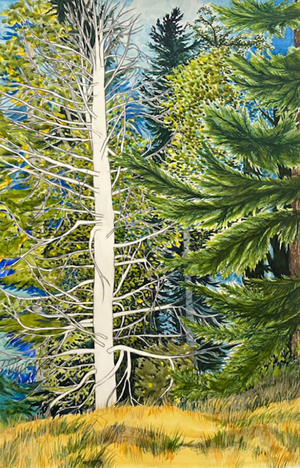 A watercolour painting depicting trees and coastal scenes from Vancouver Island