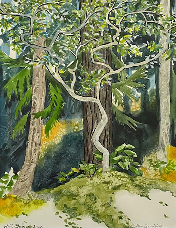 A watercolour painting depicting trees and coastal scenes from Vancouver Island